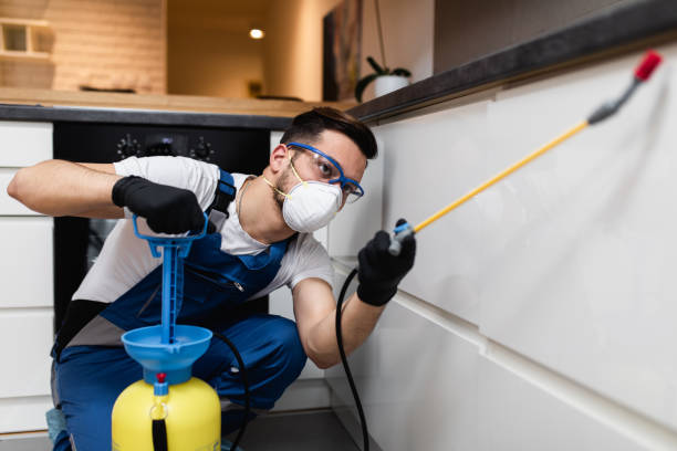 Best Pest Prevention Services  in Sullivan City, TX