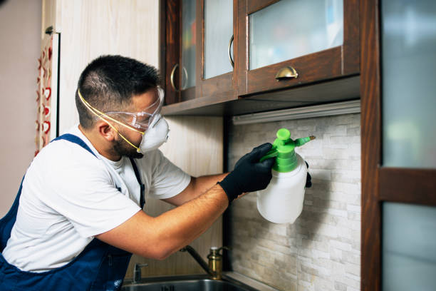 Reliable Sullivan City, TX Pest Control Solutions
