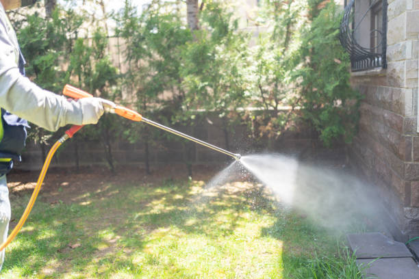 Best Pest Control for Restaurants  in Sullivan City, TX