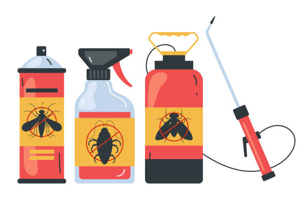 Best Pest Inspection Near Me  in Sullivan City, TX