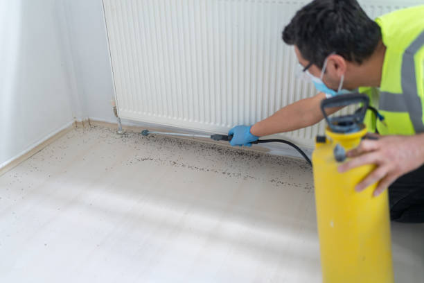 Best Commercial Pest Control Services  in Sullivan City, TX