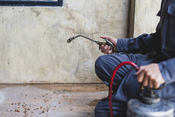 Best Pest Removal Services  in Sullivan City, TX